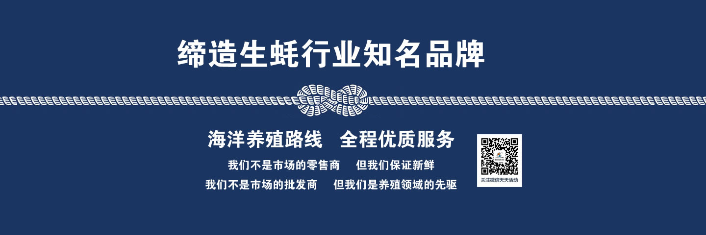 臺山生蠔
